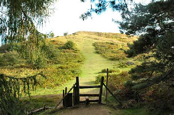 Pontesford Hill